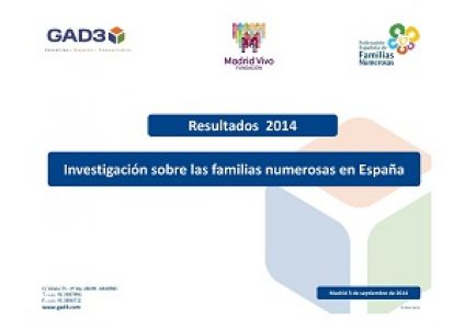Estudio Familias Numerosas 2014.jpg